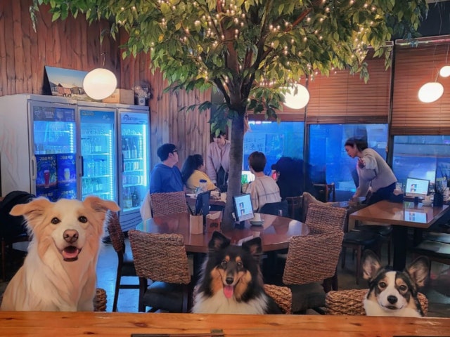 오츠카레 달그네