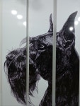 원주애견미용학원