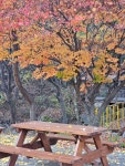 금수산가든민박