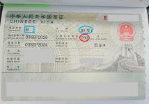 모두투어 월투어