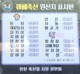 마패 정육점
