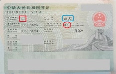 모두투어 월투어