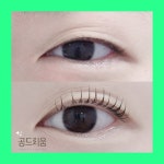 공드리움