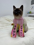 일죽종합동물병원