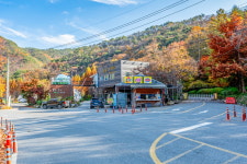 대전 꿈꾸는 농부 캠핑장