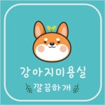 깔끔하개