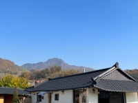 스테이노은