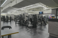 고릴라멀티짐 헬스 PT 골프 수유점