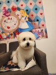 랄라몽