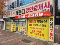 금잔디공인중개사사무소