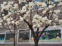 피터팬어린이집