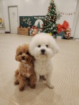 아지스테이션