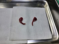 제주오름동물병원