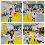 배곧 청록 태권도