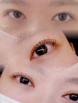 보니다미 신중동점
