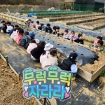 성균관유치원