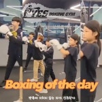 예스복싱 소사점