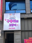 구름위의고양이