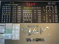 심석진의황소야