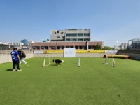 한국반려견교육센터