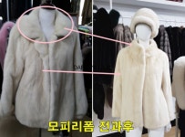 대성모피