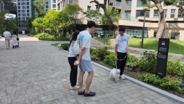 한국반려견교육센터