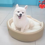 소중하개