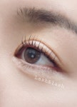 래쉬앤래쉬