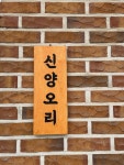 신양오리