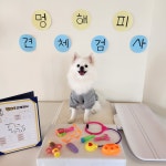 멍해피 애견유치원&호텔