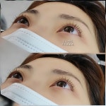 도도브로우