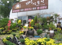 지성꽃식물원