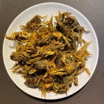 인생포차