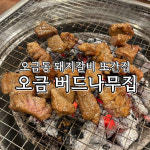 오금버드나무집