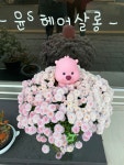 윤s헤어살롱