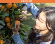 제주농원901