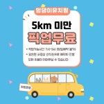 멍댕이 애견유치원