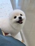 러블리댕