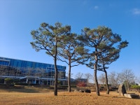 수목조경