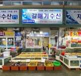 모항항 갈매기수산