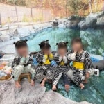 양지어린이집