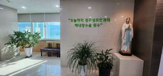 경주성모안과의원