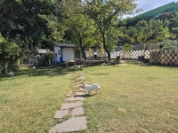 라드독 애견유치원 애견호텔