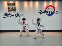 용인대금메달태권도