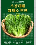 다산쌈돼지