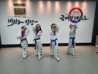 용인대금메달태권도