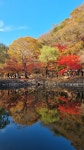 혁신OK공인중개사사무소