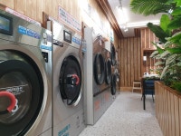 맘스핸즈 셀프빨래방 명륜점