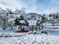 미가쉴 가족펜션