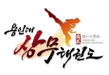 용인대상무태권도